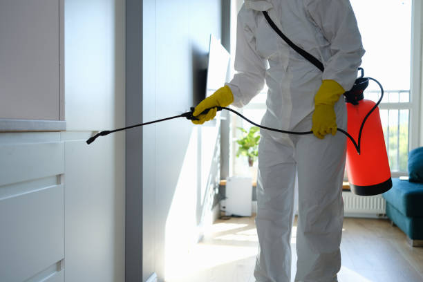 Best Bathroom Mold Remediation in Wayland, MI